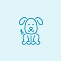 Dogs Foods
