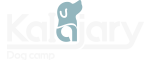 Kalajary Dog Camp